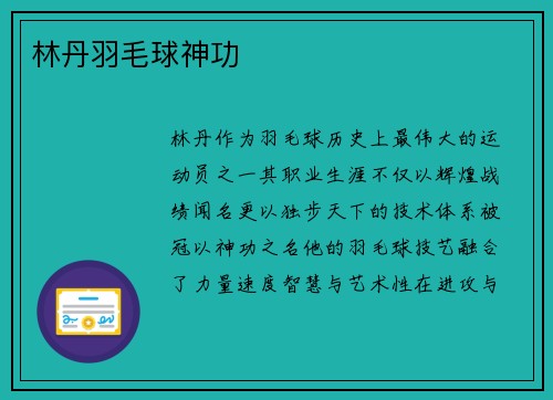 林丹羽毛球神功